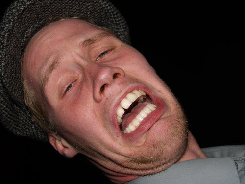 aggisauðfuglur