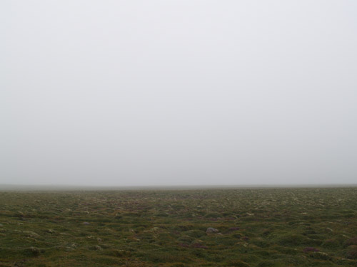 melrakkaþoka