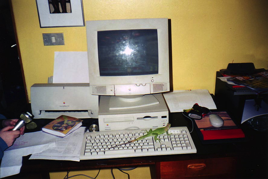 Loading Image